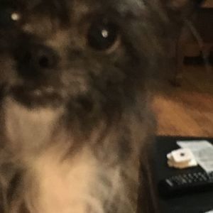 Meet your Posher, Jeff